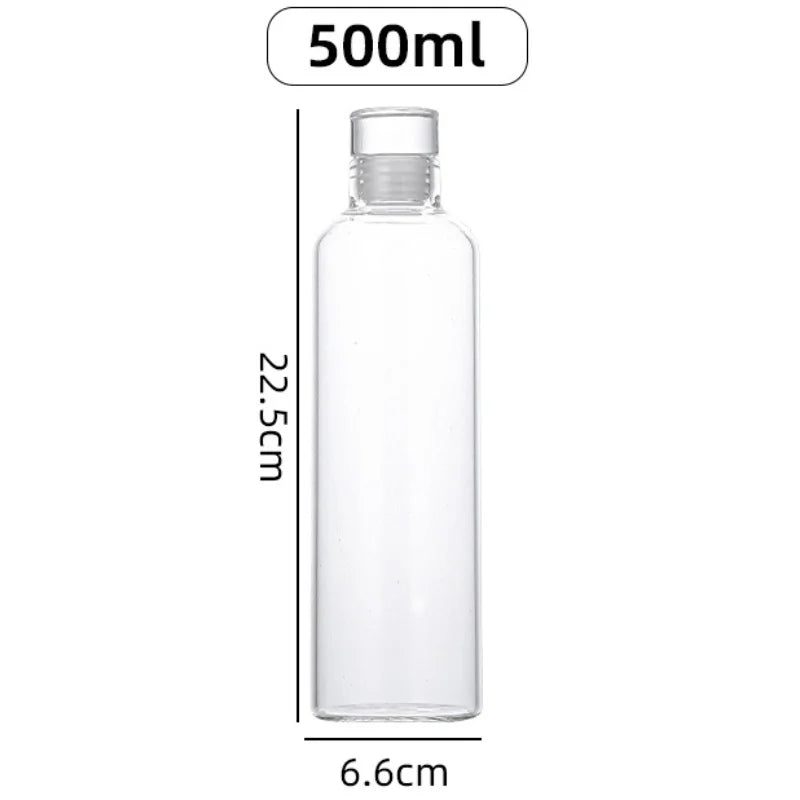 Multi-Function Glass Water Bottle