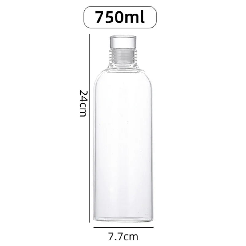 Multi-Function Glass Water Bottle