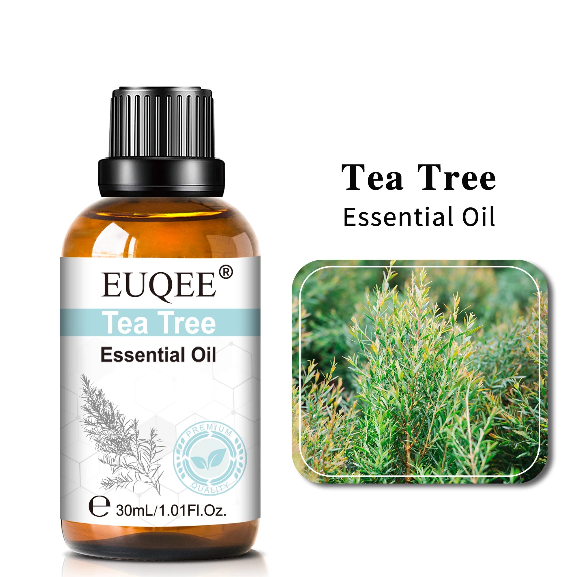 30ml Fragrance Essential Oil