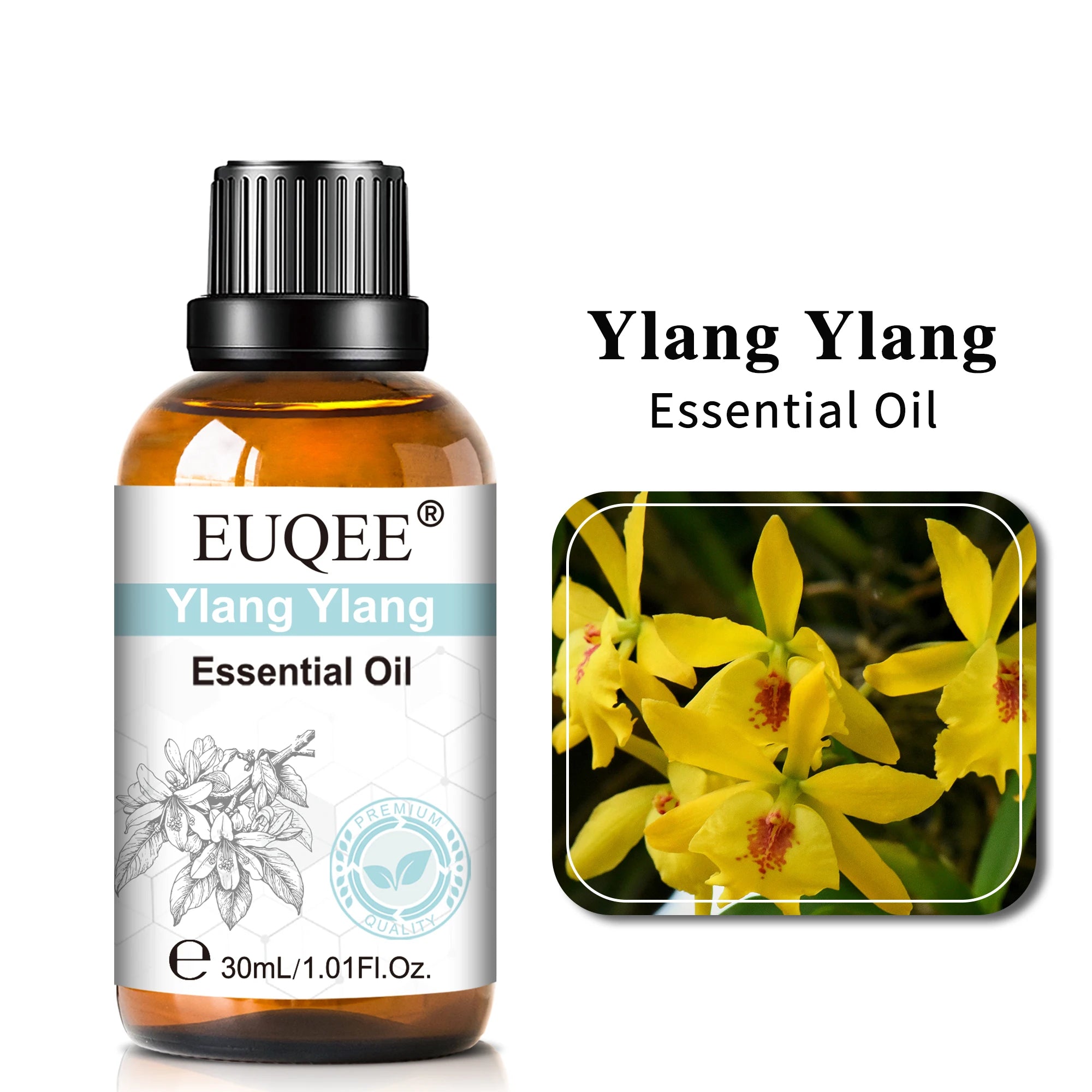 30ml Fragrance Essential Oil
