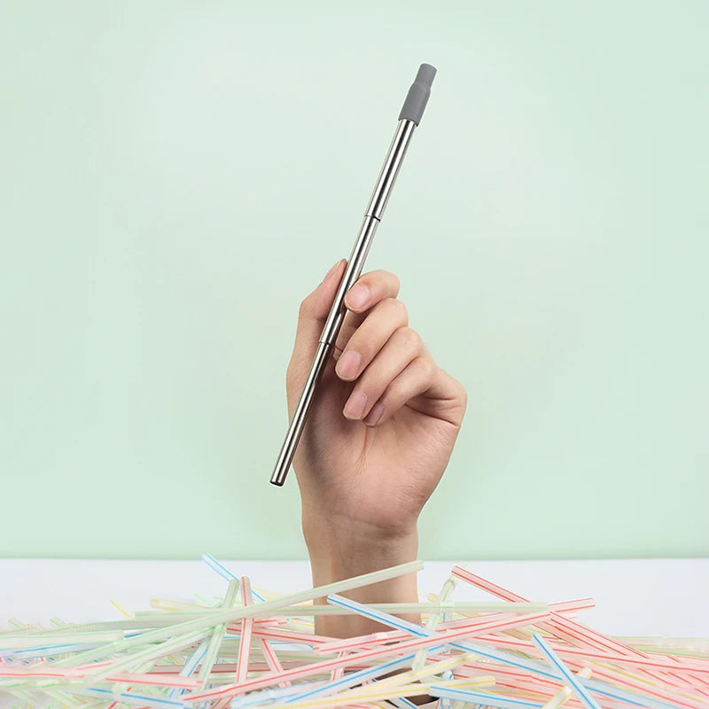 Telescopic Reusable Metal Straw