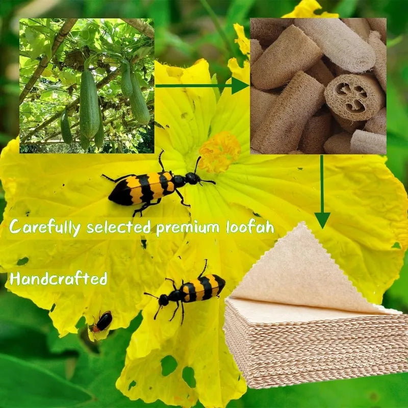 10pcs Natural Loofah Dishcloth